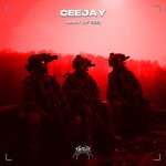 cover: CEEJAY - Army Of 333