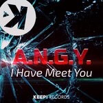 cover: A.N.G.Y. - I Have Meet You