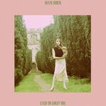 cover: Diane Birch - Used To Lovin' You