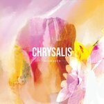 cover: AVAWAVES - Chrysalis