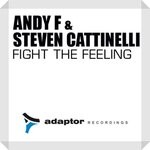 cover: Andy F|Steven Cattinelli - Fight The Feeling