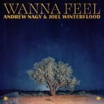 cover: Joel Winterflood|Andrew Nagy - Wanna Feel