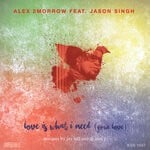 cover: Alex 2morrow|Jason Singh - Love Is What I Need (Your Love)