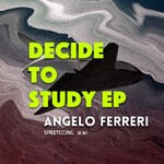 cover: Angelo Ferreri - Decide To Study EP