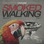 cover: Diamn - Smoked Walking