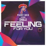 cover: Planet Rock - Feeling For You