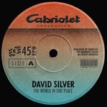 cover: David Silver - The World In One Place