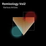 cover: Various - Remixology Vol 2