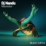 cover: DJ Nandu - Resurrection