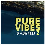 cover: Various - Pure Vibes 2