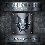 cover: Harry Potar - Le Diable Au Corps Remixes 05