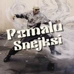 cover: Asana - Pomalu Snejksi