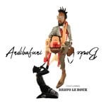 cover: Bravo Le Roux|iFani - Andibafuni Bonke (Explicit)