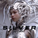 cover: DJ Tinoki - Silver