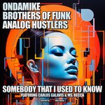 cover: Ms Becca|Ondamike|Carlos Galavis|Brothers Of Funk|Analog Hustlers|Ms. Becca - Somebody That I Used To Know