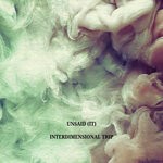 cover: Unsaid (IT) - Interdimensional Trip