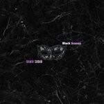 cover: Damir Sudar - Black Scenes