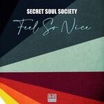 cover: Secret Soul Society - Feel So Nice