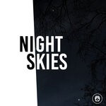 cover: Techno House - Night Skies