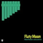 cover: Moon Rocket - Fluty Moon (Esse Club Mix)