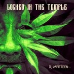 cover: Dj Marteen - Locked In The Temple