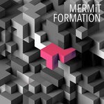 cover: MERMiT - Formation