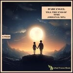 cover: D'Arcangel - Till The End Of Time