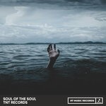 cover: TNT Records Beats - Soul Of The Soul