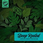 cover: Sean McCabe - Deep Rooted