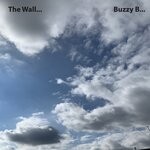 cover: Buzzy B - The Wall...