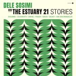 cover: The Estuary 21|Dele Sosimi|Get Cape. Wear Cape. Fly - Stories