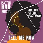 cover: Steno!|AirDice|Paul Thaesler - Tell Me Now