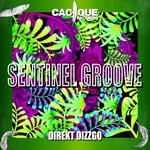 cover: Sentinel Groove - Direkt Dizzgo