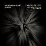 cover: Various - Melodic Techno Journeys