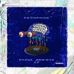 cover: SoundNine - Shake Groove