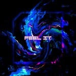 cover: Teos Flex - Feel It