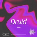 cover: Avvani - Druid