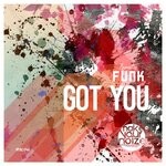 cover: Fanatic Funk - Got You