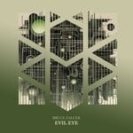 cover: Bruce Zalcer - Evil Eye