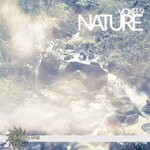 cover: Voxel9 - Nature