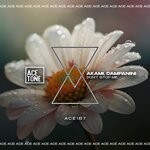 cover: Akami|Campanini - Don't Stop Me