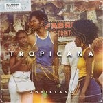 cover: Zweiklang - Tropicana