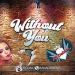 cover: DJ Dabion - Without You