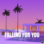 cover: Elecriot - Falling For You