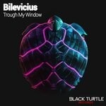 cover: Bilevicius - Trough My Window