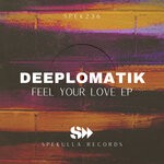 cover: Deeplomatik - Feel Ur Love EP