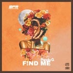 cover: Pando G - Find Me