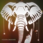 cover: Various - Hidden Grooves