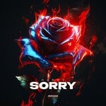 cover: H4RDY - Sorry