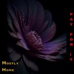 cover: Mostly Home - Pay For It